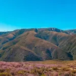 Casa Tia Vina - Serra *
