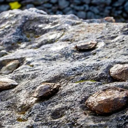 Casa Tia Vina - Serra Арока