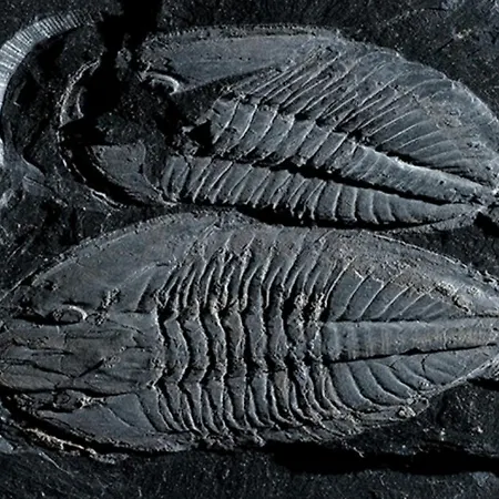 Дом отдыха Casa Tia Vina - Serra *