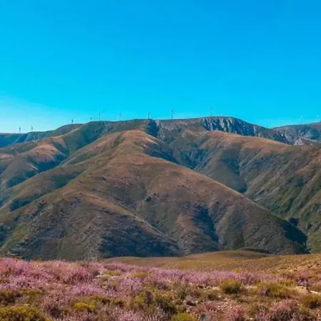 Casa Tia Vina - Serra *