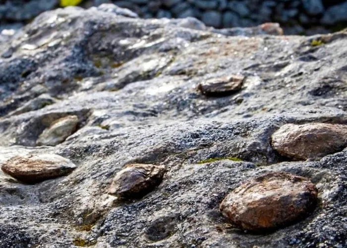 Casa Tia Vina - Serra Arouca